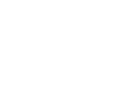 Sailsnake logo